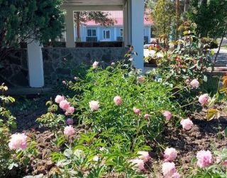 Детский оздоровительный лагерь "Зори Анапы"