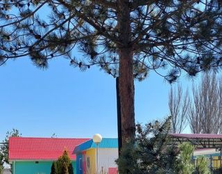 Детский оздоровительный лагерь "Зори Анапы"