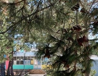 Детский оздоровительный лагерь "Зори Анапы"