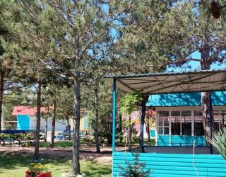 Детский оздоровительный лагерь "Зори Анапы"