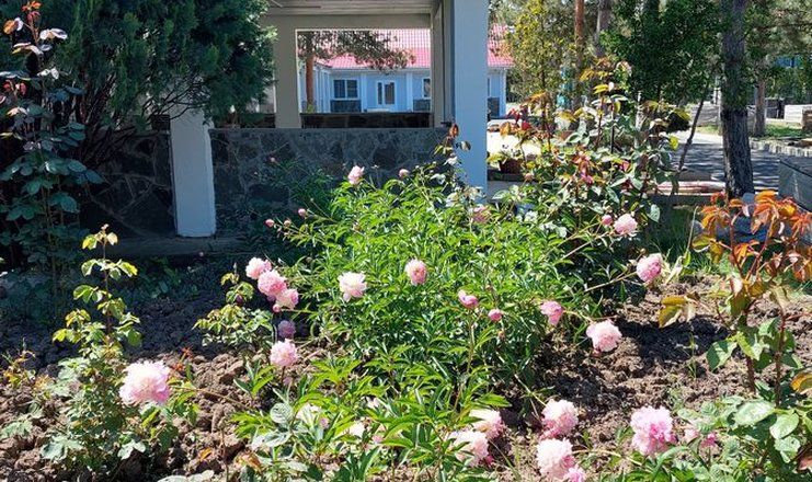 Детский оздоровительный лагерь "Зори Анапы"