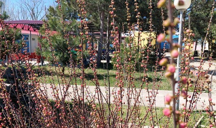 Детский оздоровительный лагерь "Зори Анапы"